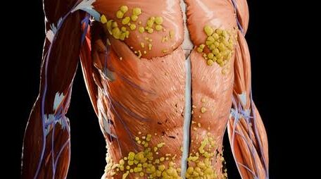 fat loss fear